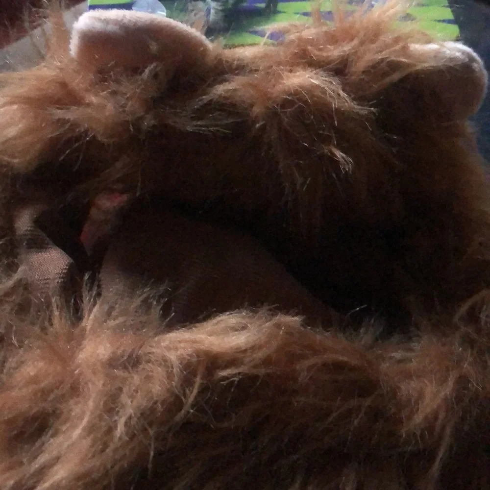 Bootique nwt lion